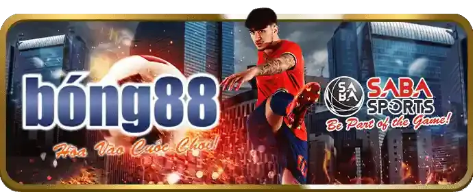 Cập nhật ứng dụng sb365 thường xuyên